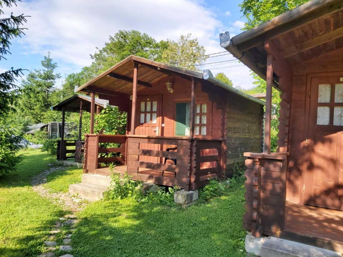 Bungalow Camping Edelweiss - Floare De Colt - Gyopar Rimetea Luaran gambar