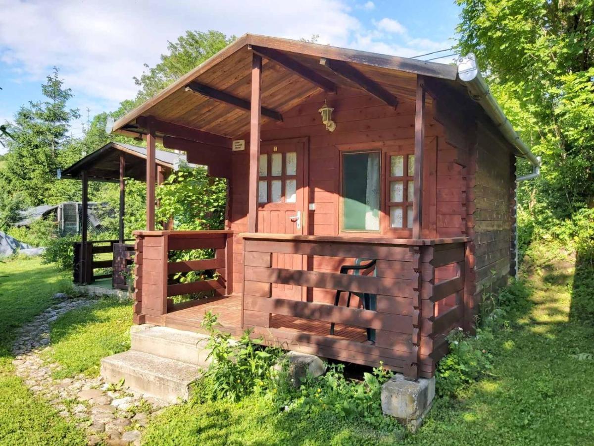 Bungalow Camping Edelweiss - Floare De Colt - Gyopar Rimetea Luaran gambar