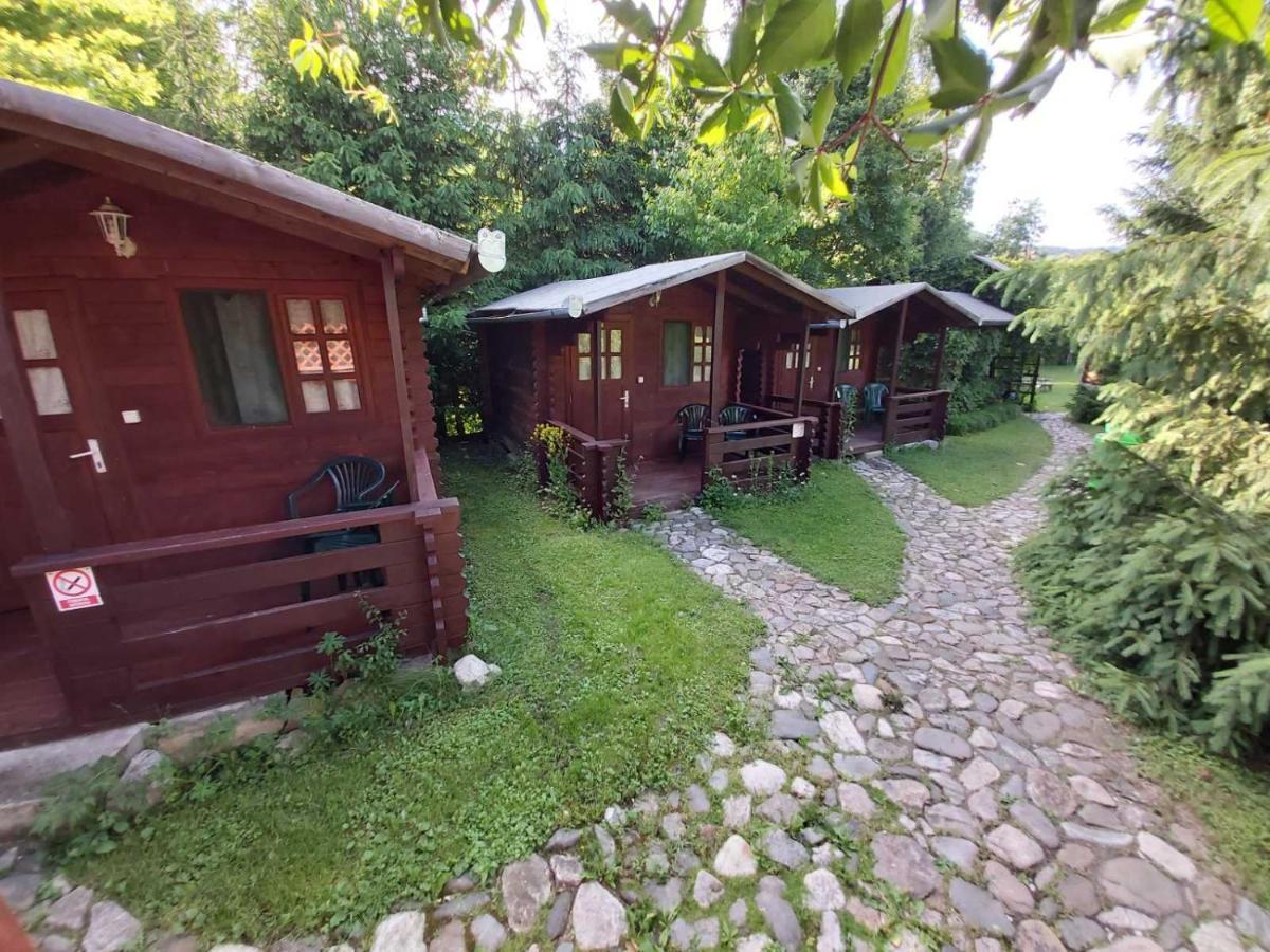 Bungalow Camping Edelweiss - Floare De Colt - Gyopar Rimetea Luaran gambar