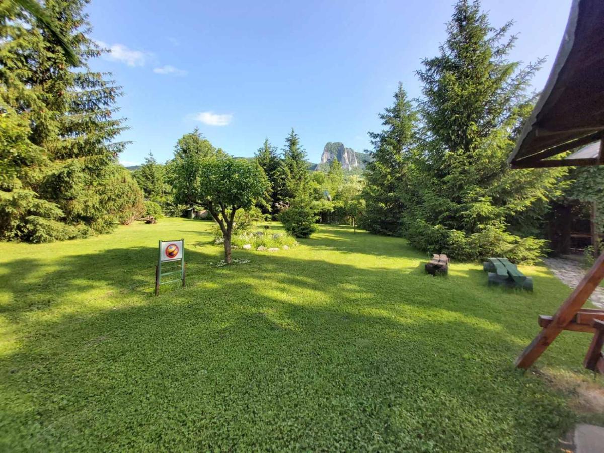 Bungalow Camping Edelweiss - Floare De Colt - Gyopar Rimetea Luaran gambar